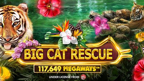 Big Cat Rescue Megaways Blaze